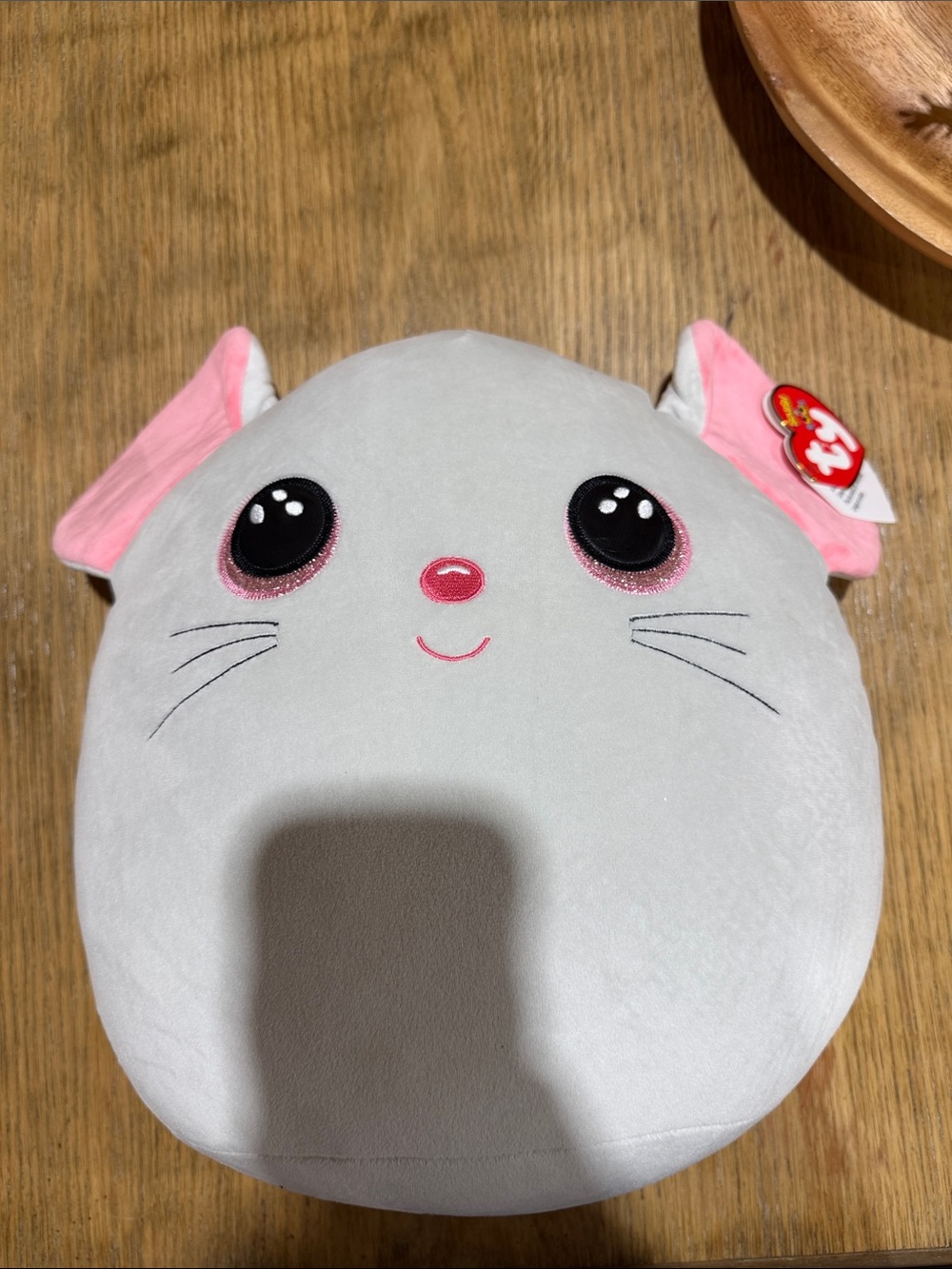 NWT Ty Squish